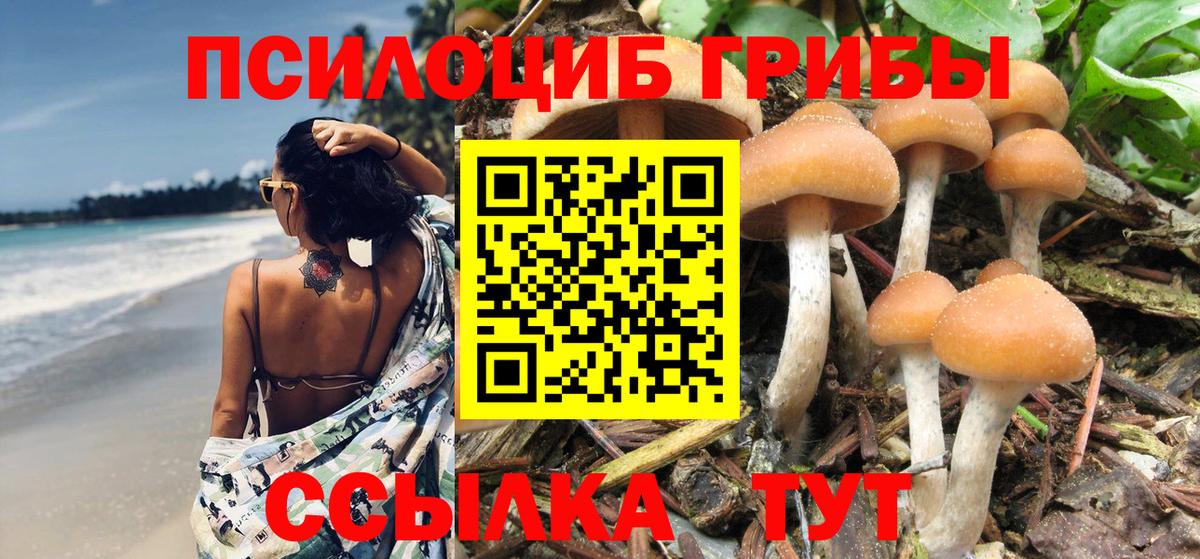 дарнет шоп  Псилоцибиновые грибы MAGIC MUSHROOMS  Вход с VPN  Псилоцибиновые грибы Psilocybine cubensis  Ирбит 