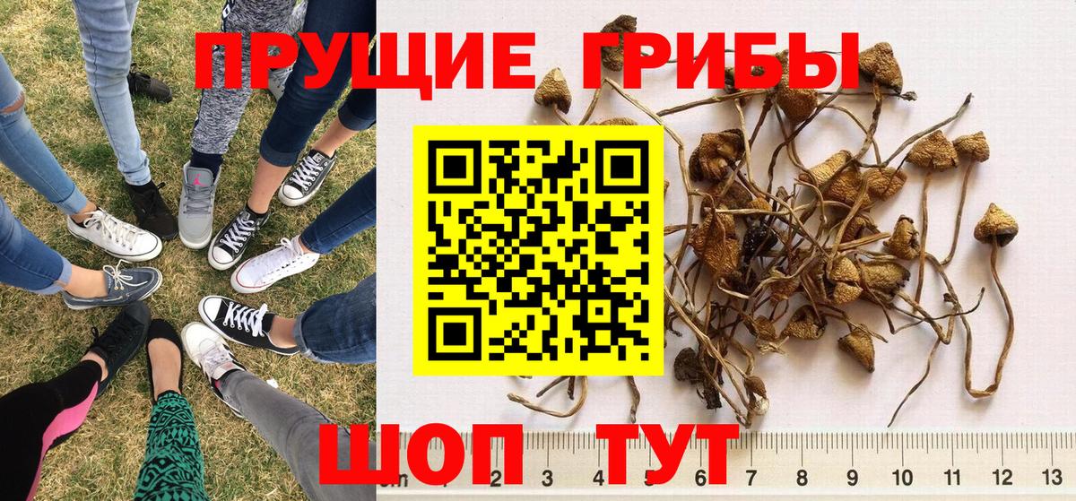 Псилоцибиновые грибы мухоморы Ирбит